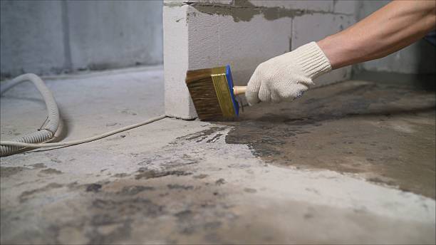 SJ Waterproofing Pros Waterproofing coverage map for Lewisburg, TN and surrounding area